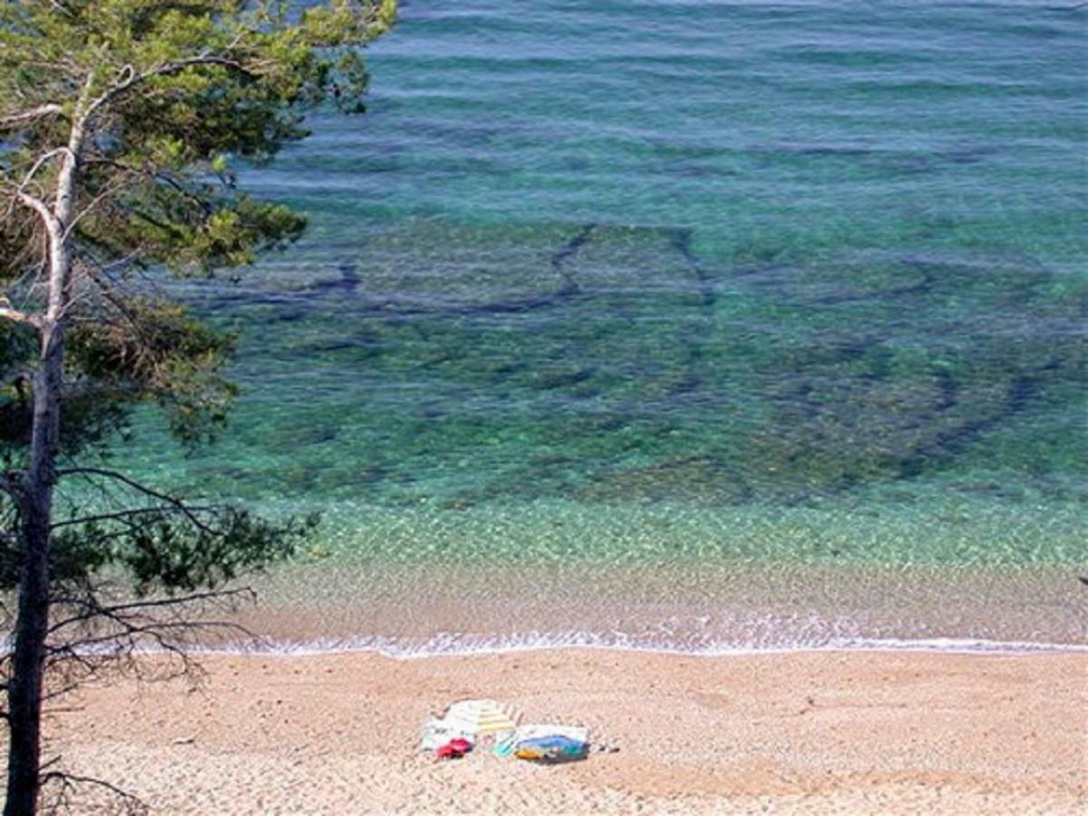 **** Beau T2 De 40 M2, Jardin De 70M2, Au Calme, A 50 Metres De La Plage Le Pradet Zewnętrze zdjęcie
