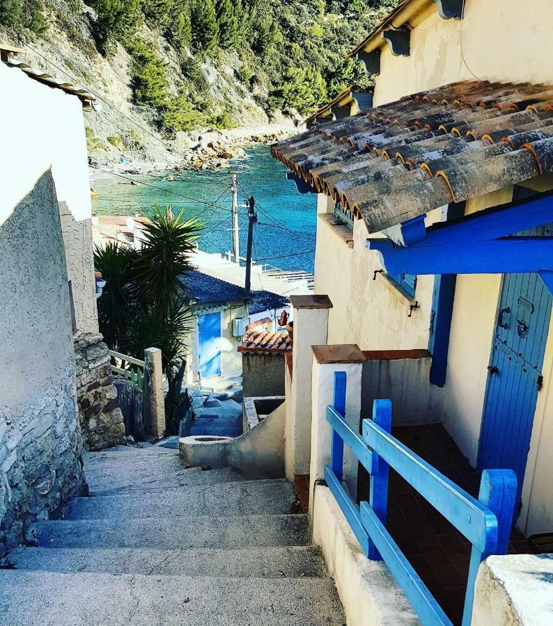 **** Beau T2 De 40 M2, Jardin De 70M2, Au Calme, A 50 Metres De La Plage Le Pradet Zewnętrze zdjęcie